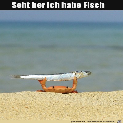 Fisch.jpg von Pius