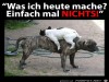 weiter