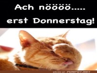 Der unendliche Donnerstag-Blues