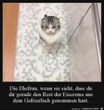 Ehefrau-guckt-kritisch.jpg auf www.funpot.net
