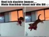 weiter
