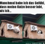 Ein-Katzenleben.jpg auf www.funpot.net
