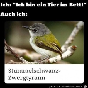 fun-Bild: Vortäuschung falscher Tatsachen