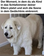 Schreck-lass-nach.jpg auf www.funpot.net
