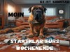 weiter