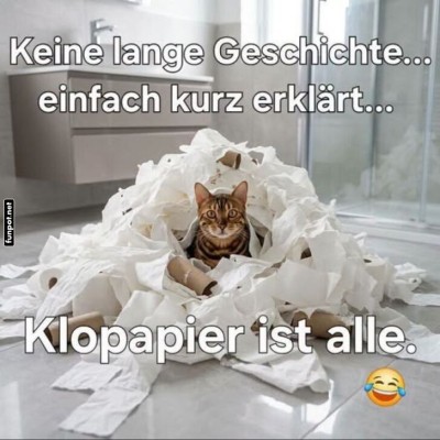 Katzenchaos-im-Badezimmer.jpg von Mareike-21