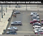 Pferde-auf-dem-Parkplatz.jpg auf www.funpot.net