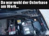 weiter