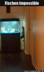 Fischen-unmglich.jpg auf www.funpot.net