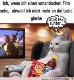 Frustrierte-Katze.jpg auf www.funpot.net