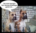 Nicht-traurig-sein.jpg auf www.funpot.net