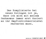 Mein-Sarkasmus.jpg auf www.funpot.net