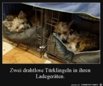 Drahtlose-Trklingeln.jpg auf www.funpot.net