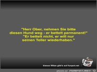 Herr Ober, nehmen Sie bitte diesen Hund weg - er bettelt...