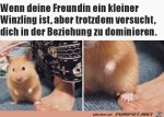 Winzige-Freundin.jpg auf www.funpot.net