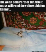 Weiterschlafen-drfen.jpg auf www.funpot.net