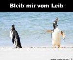 Geh-mir-vom-Acker.jpg auf www.funpot.net