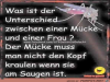 weiter