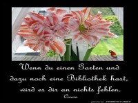 Wenn du einen Garten hast