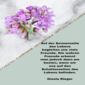 herz-Bild: auf der Sonnenseite