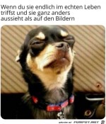 Hund-mit-lustigem-Blick.jpg auf www.funpot.net