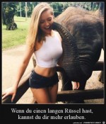 Langer-Rssel.jpg auf www.funpot.net