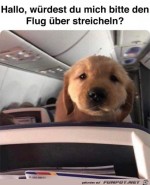 Streichel-mich.jpg auf www.funpot.net
