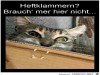 weiter