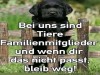 weiter