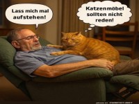 Wenn Katzen ihr Recht auf Komfort einfordern