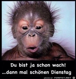 Dienstag.jpg auf www.funpot.net