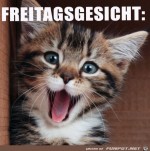 Freitagsgesicht.jpg auf www.funpot.net