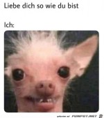 Was-fr-ein-Kompliment.jpg auf www.funpot.net