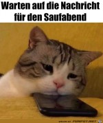 Immer-diese-Warterei.jpg auf www.funpot.net