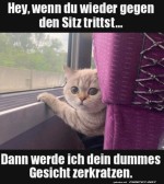 Klare-Ansage.jpg auf www.funpot.net