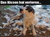 weiter