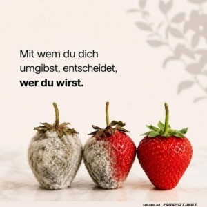 herz-Bild: Erdbeer-Gesellschaft mit Schimmel-Gefahr