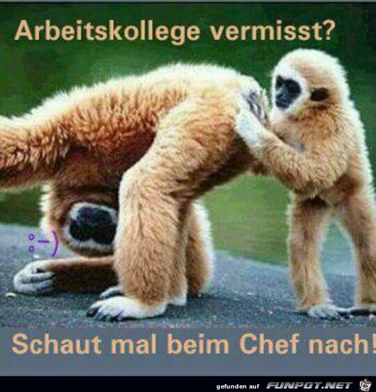 Vermisst Vermisst