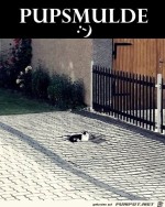 Eine-echte-Pupsmulde.jpg auf www.funpot.net