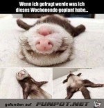 Was-ich-dieses-Wochenende-geplant-habe.jpg auf www.funpot.net