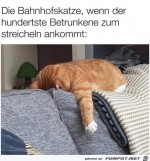 Nicht-schon-wieder.jpg auf www.funpot.net