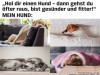 weiter