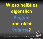 Warum-heit-das-Pinguin?.jpg auf www.funpot.net