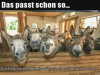 weiter