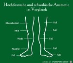Der-schwbische-Fu.jpg auf www.funpot.net