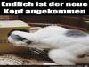 weiter