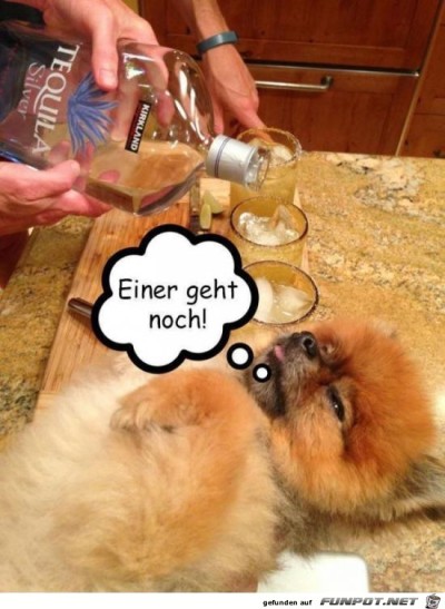 Einer-geht-noch.jpg von Aisha