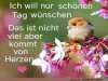 weiter