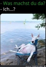 Was-machst-du?.jpg auf www.funpot.net