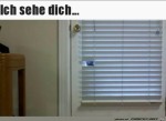 Katzen-Guckloch.jpg auf www.funpot.net